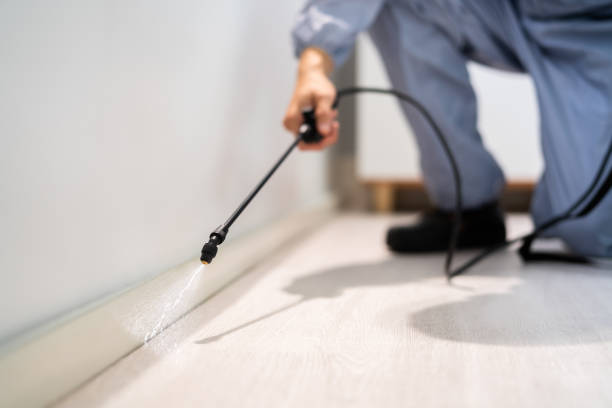 Licensed Fumigation Services service in Melrose, MA - Nex Pest Control