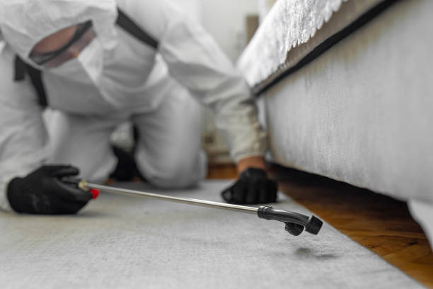 Professional Fumigation Services technician working in Melrose, MA